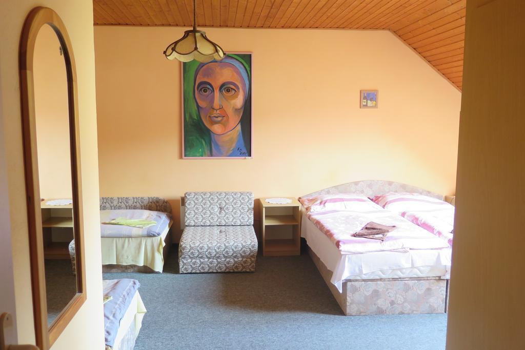 Penzion Oliver Horní Planá Zewnętrze zdjęcie