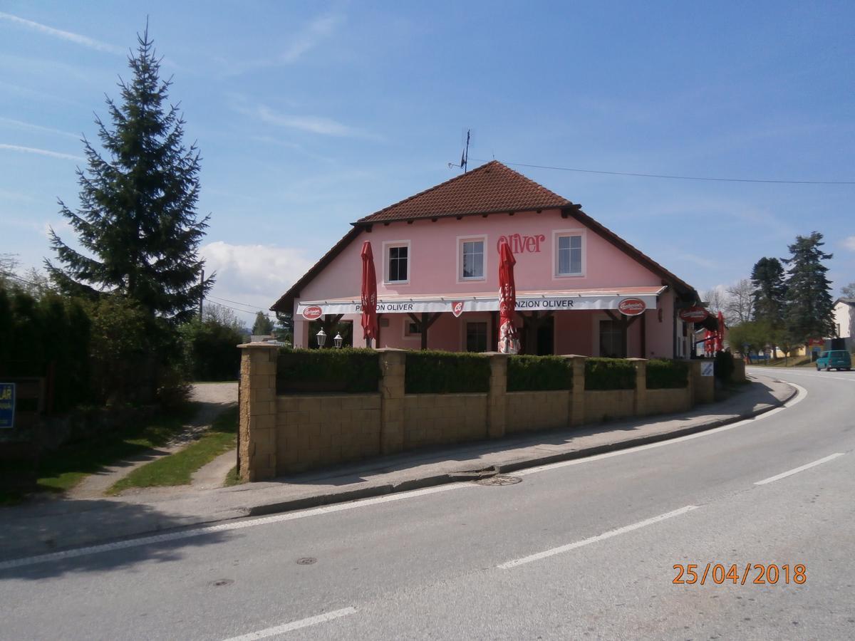 Penzion Oliver Horní Planá Zewnętrze zdjęcie